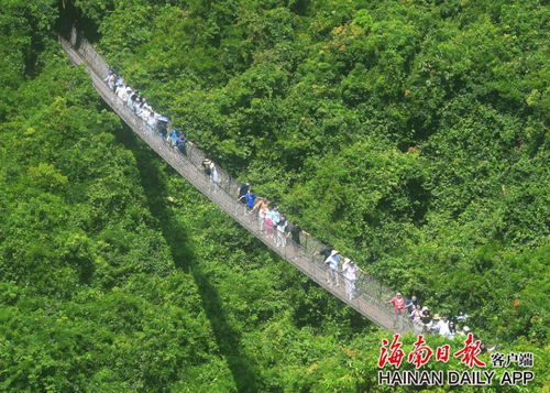 国庆假期海南旅文行业强势复苏，多元产品供给激活国内旅游市场